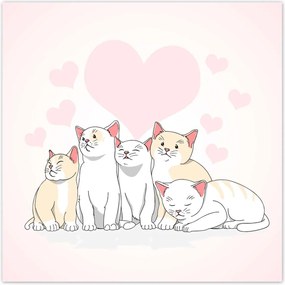 Poszterek 30x30 Cica Cicák