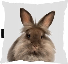 Nyuszis Párna Nyuszi 40x40 Tökéletes Ajándék