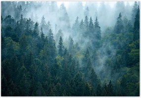 Fotótapéták 368x254 Erdő a ködben Utazás