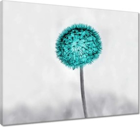 Vászonkép 50x40 Türkiz remete