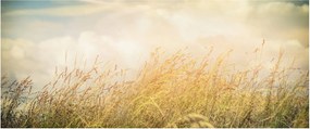 Kép - Mező ősszel (120x50 cm)