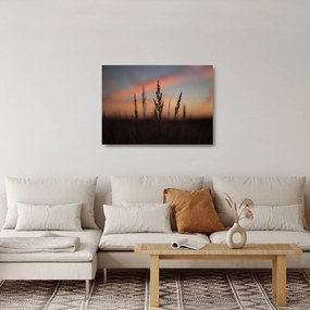Kép - A növény sziluettje (üvegen) (70x50 cm)