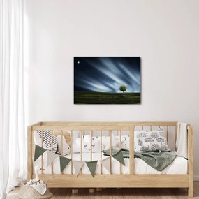 Az aurora borealis képe egy lápvidéken (70x50 cm)