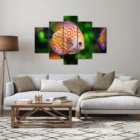 Egy hal képe (150x105 cm)