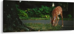 Gida képe (120x50 cm)