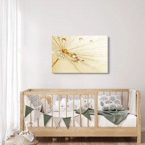 Kép - Makro fotó pitypangról (90x60 cm)