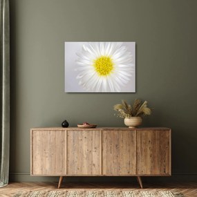 Kép - Margarita (üvegen) (70x50 cm)