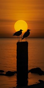 Poszter 50x100cm Beszélgetések alkonyatkor