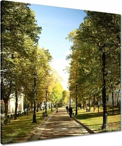 Vászonkép 60x60 Park a nyári időszakban