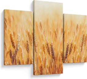 Kép - mező gabonával (90x60 cm)
