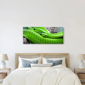 Zöld kígyók képe (120x50 cm)