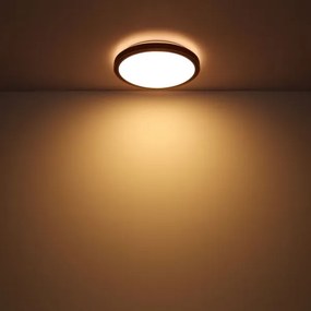 Globo 41764-12 - BRUNO LED mennyezeti lámpa 12W, 307 mm, 3000-6000K