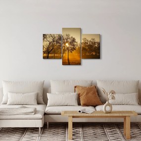 Napkelte kép (90x60 cm)