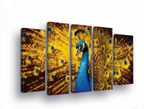 Vászonkép 150x100 Páva moduláris egzotikum szépség páva toll dekoratív természet