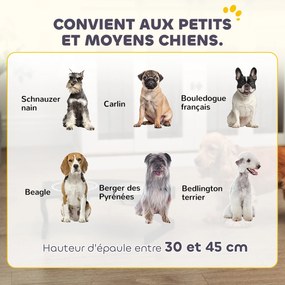 PawHut Emelt Tálaló Állvány Kutyáknak, Két 1L Rozsdamentes Acél Tál, Lassú Etető Alátét, Félkörös Felület, Kisméretű és Közepes Kutyák számára, fekete