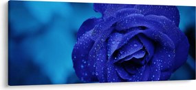 Kék rózsa képe (120x50 cm)