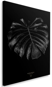 Gario Vászonkép Monstera részlet - Dmitry Belov Méret: 40 x 60 cm