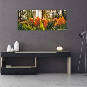 Narancssárga tulipán képe (120x50 cm)