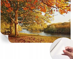 Öntapadós fotótapéta Divatos Őszi tengerpart 416x254 cm