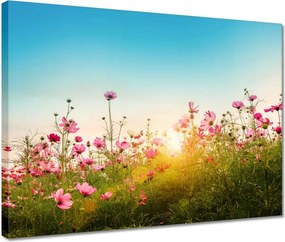 Vászonkép 40x30 Kozmikus virágok