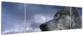 Kép - farkas (170x50cm)