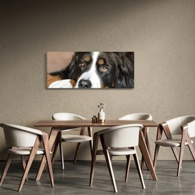 Kutya képe (120x50 cm)