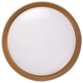 Rabalux 71308 - LED Dimmelhető mennyezeti lámpa LADAN LED/48W/230V 3000-6500K + távirányító