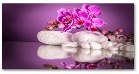 Akrilkép Rózsaszín orchidea oah-82457632