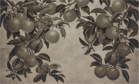 Dekoratív Fotótapéta Hálószobába Gyümölcsös minta 416x254 Ragasztó