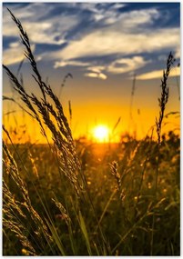 Poszterek 70x100 Naplemente a füvek között