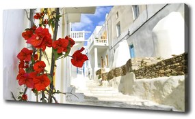Vászonfotó Mykonos görögország oc-2987309