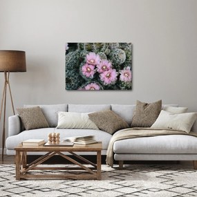 Kaktusz virágának képe (70x50 cm)