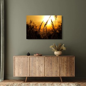 A lenyugvó nap képe (90x60 cm)