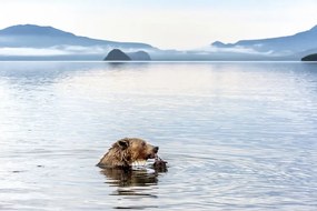 Fotográfia Kurile Lake, Giuseppe DAmico