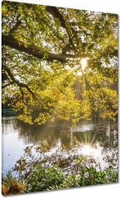 Festmények 70x100 Tájkép