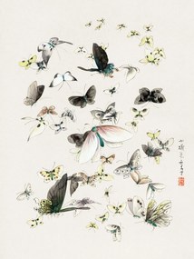 Festmény reprodukció Butterflies & Moths (2 of 2) - Katsushika Hokusai, (30 x 40 cm)