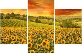 Kép - Napraforgó mező (90x60 cm)