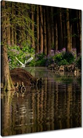 Vászonkép 70x100 Tájkép Látvány