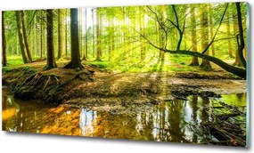 Fotó kép edzett üveg Mount Everest 100x70