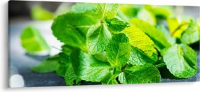 A menta képe (120x50 cm)