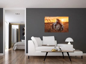 Kép - Ló naplementében (90x60 cm)