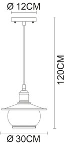 Globo 69030H - Mennyezeti függesztékes lámpa 1xE27/60W