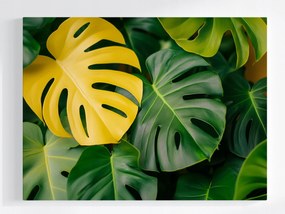Vászonkép Canvas Természet Növények Levelek Monster 100x75