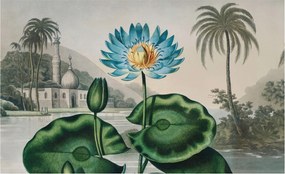 Fotótapéta Flizelin a nappali hálószobába Egzotikus táj 416x254