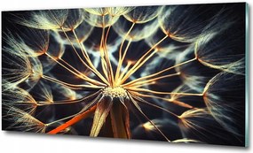 Fotó üvegkép Vörös rózsa szív 125x50