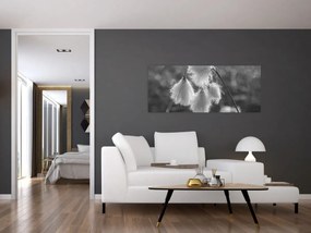Kép - Cottongrass (120x50 cm)
