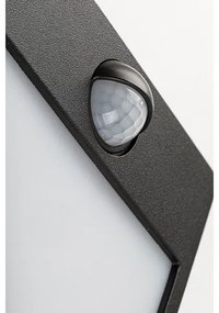 Rabalux 7478-LED kültéri fali lámpa mozgásérzékelővel BALIMO LED/12W/230V IP44