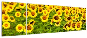 Modern kép - virágok  (170x50cm)