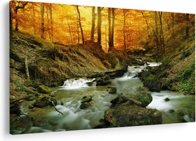 Kép - Erdő (90x60 cm)