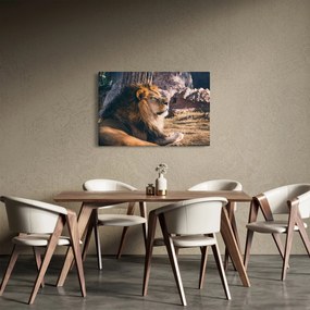 Egy fekvő oroszlán képe (90x60 cm)